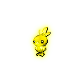 Golden Torchic